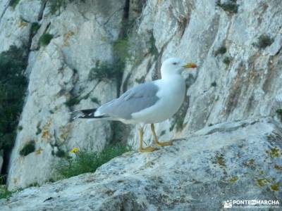 Peñón Ifach;Sierra Helada;Puig Campana;Sierra Bernia;salto de poveda laguna de uña excursiones de